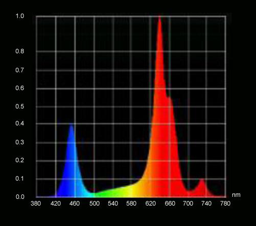 Linear Grow Light (8)